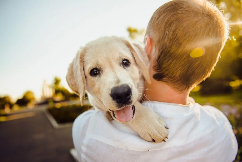 A cute dog cuddling with a human. Self-care ideas.