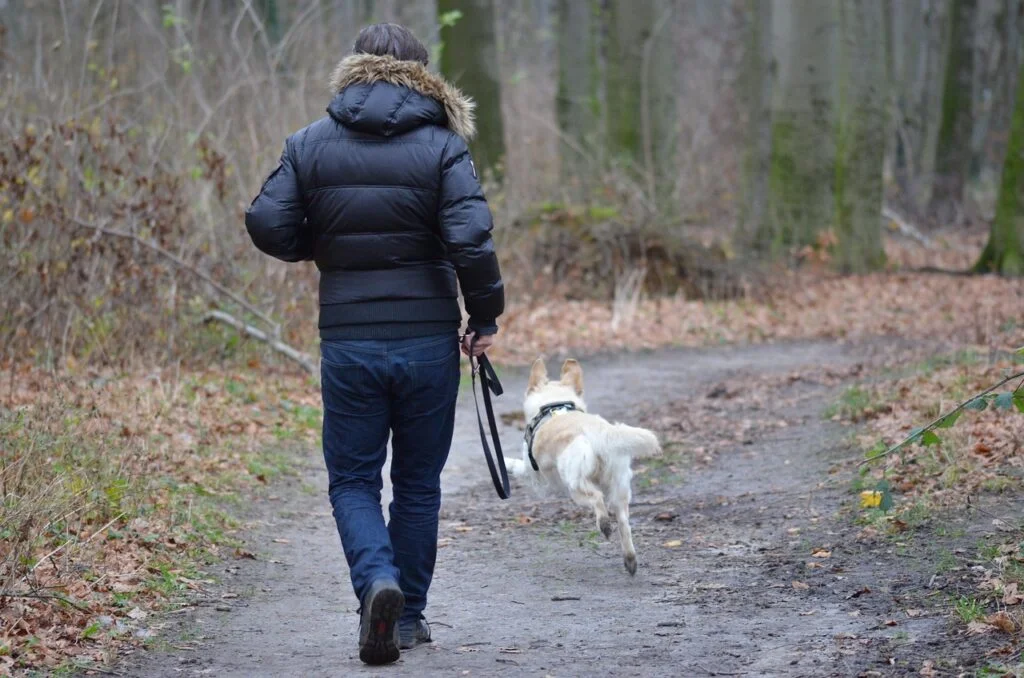 Man walking his dog in a forest.