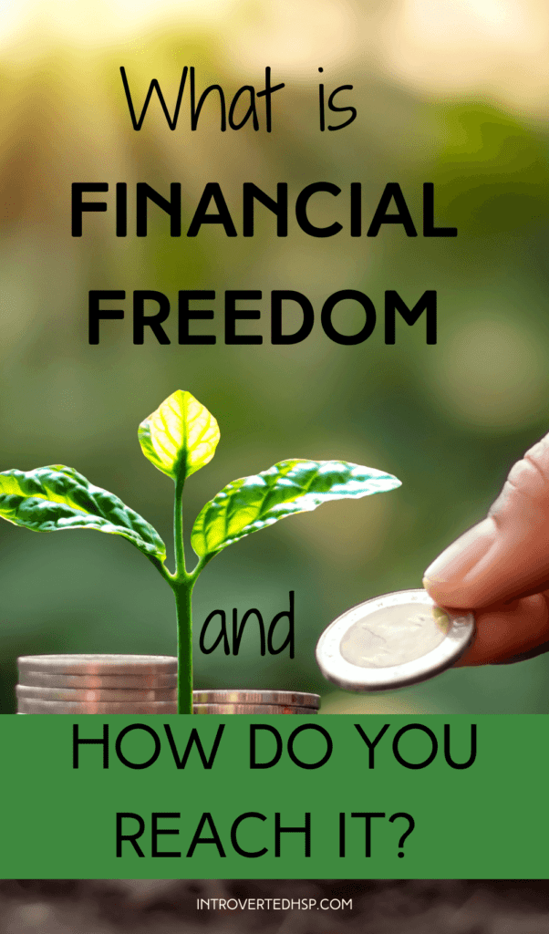 What is financial freedom and how do you reach it? Pinterest Pin. 