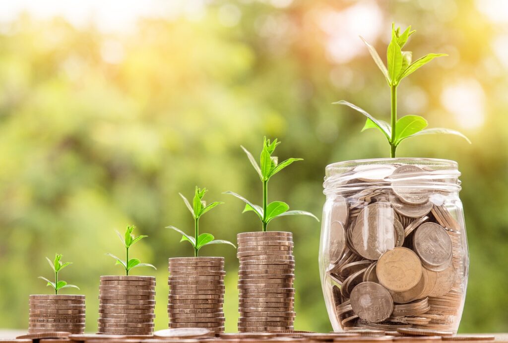 Growing money and growing plants, reaching financial freedom.