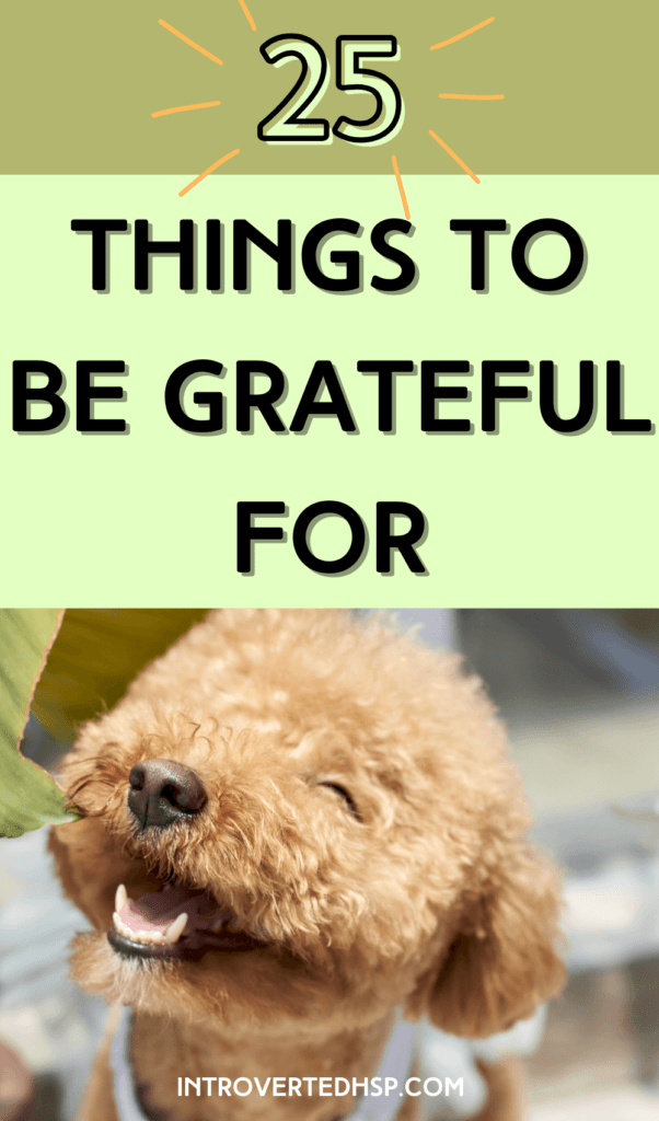 25 things to be grateful for. Pinterest Pin. 